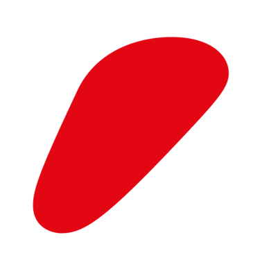 Logo til Information